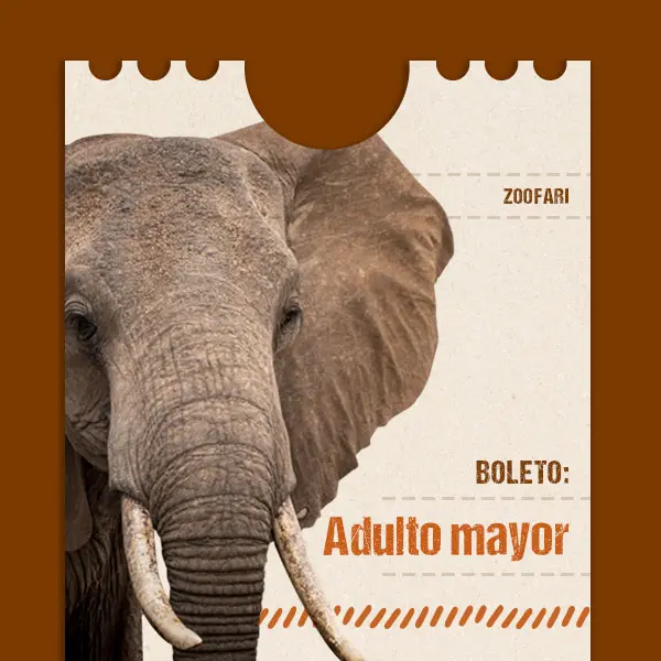 Adulto mayor