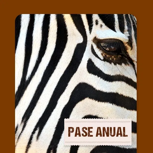 Pase anual