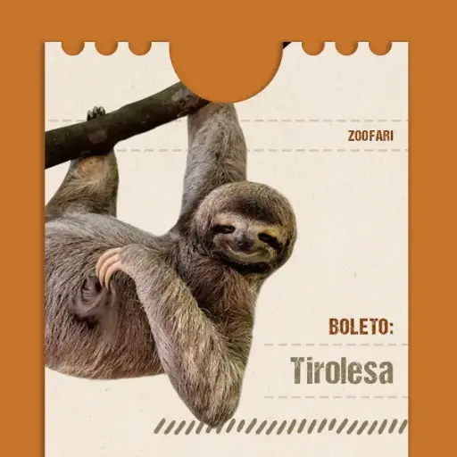 Tirolesa